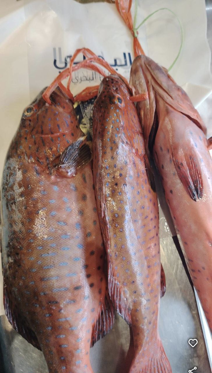 Albasali Seafood Restaurant