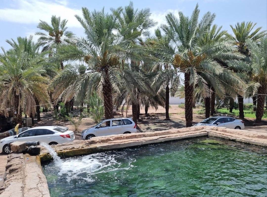 Le Jardin de Salman Al Farsi