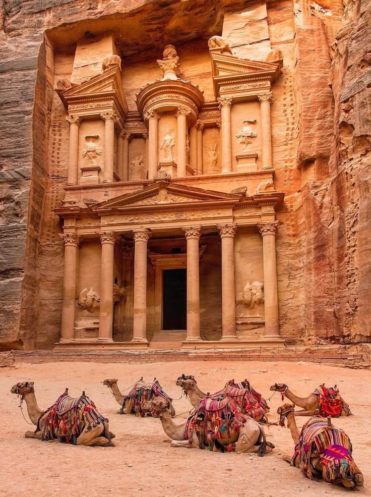 Amman- Petra