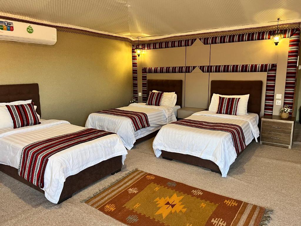 Wadi Rum- Gotte de lut-Mer morte -Amman