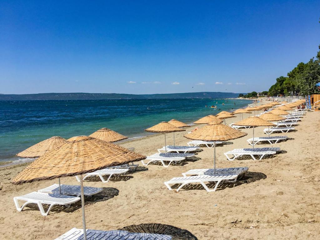 Visites de Troie & Pergame – Direction Kusadasi