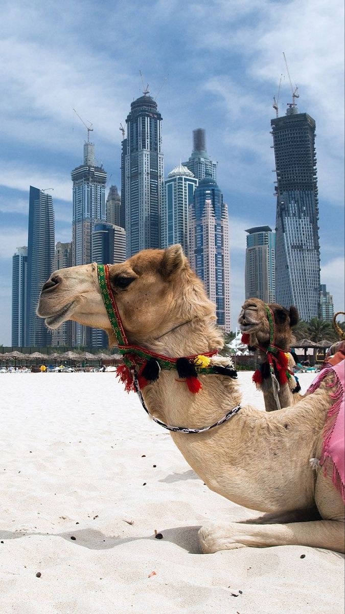 Abu Dhabi