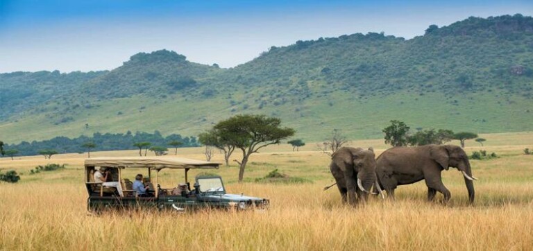 Safari big five & découverte 8 jours